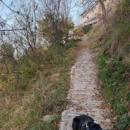 Baita Nel Bosco A Cane Appartamento Temù